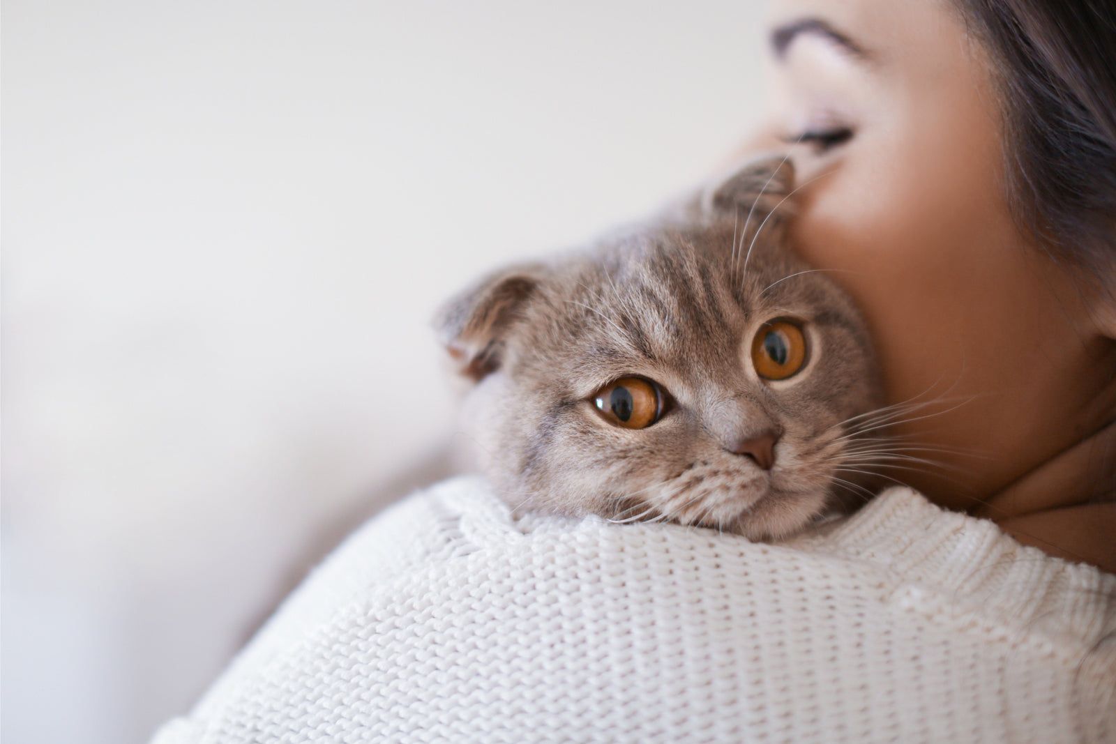 Cat Toxoplasmosis: The Deadly Parasite