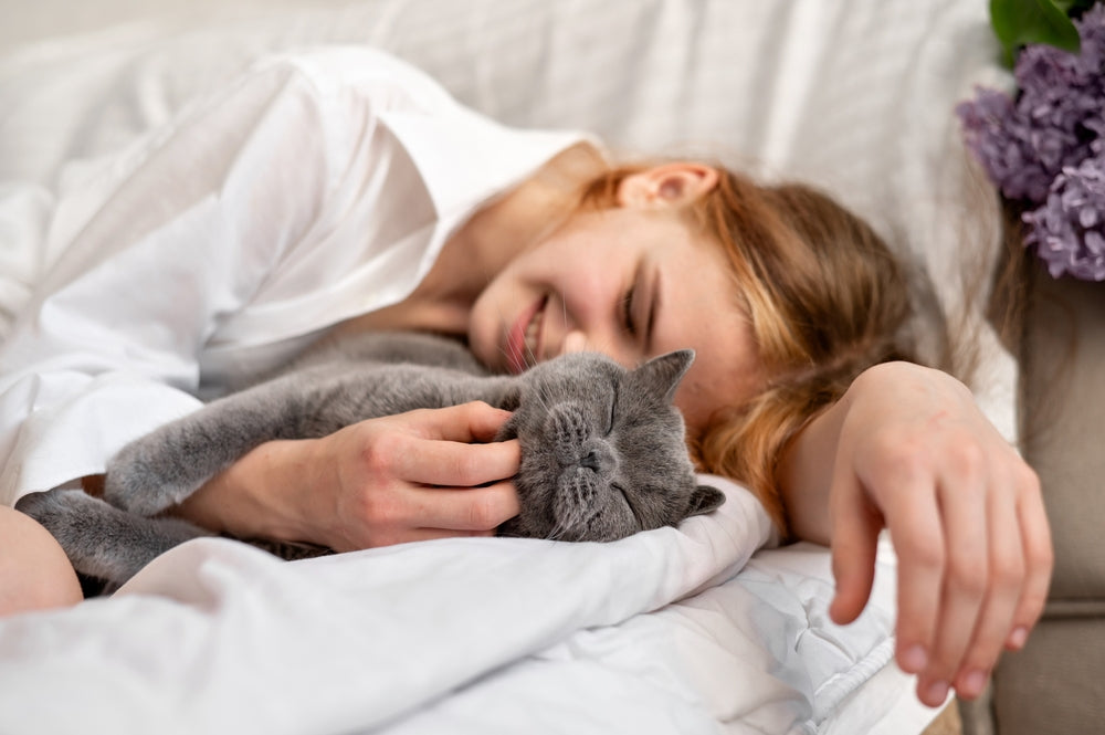 Are Cats Low Maintenance?