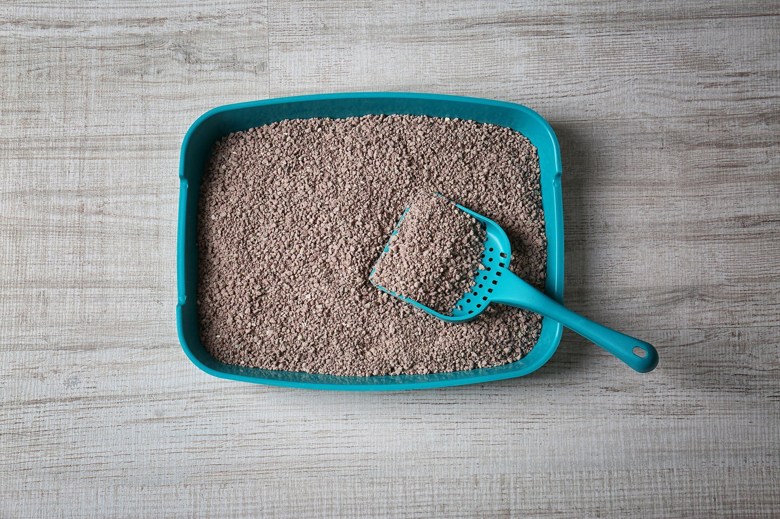clay litter in litter box