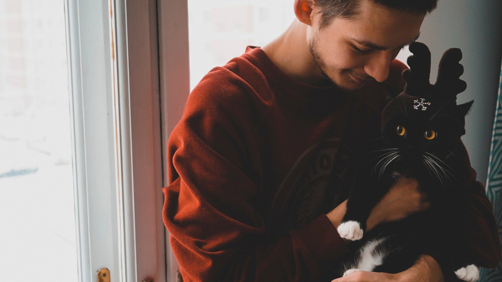 DIY Gifts for Cat Lovers to Spoil Kitty This Christmas