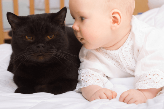 baby with cat