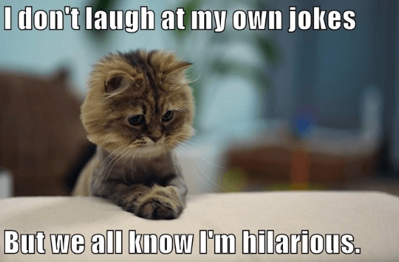 Funny Furballs: Jokes and Trivia for Cat Lovers