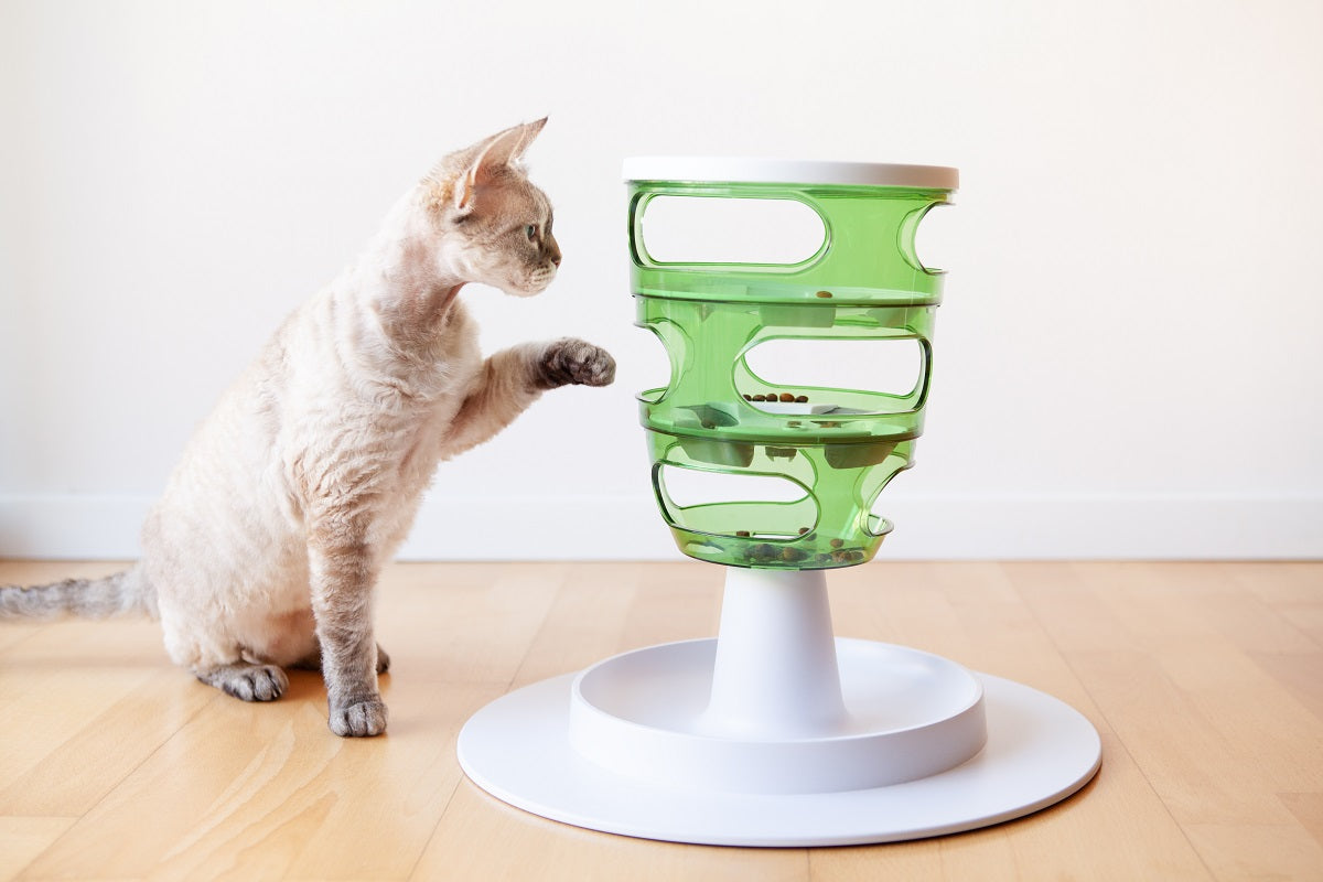 DIY Cat Food Puzzle Ideas