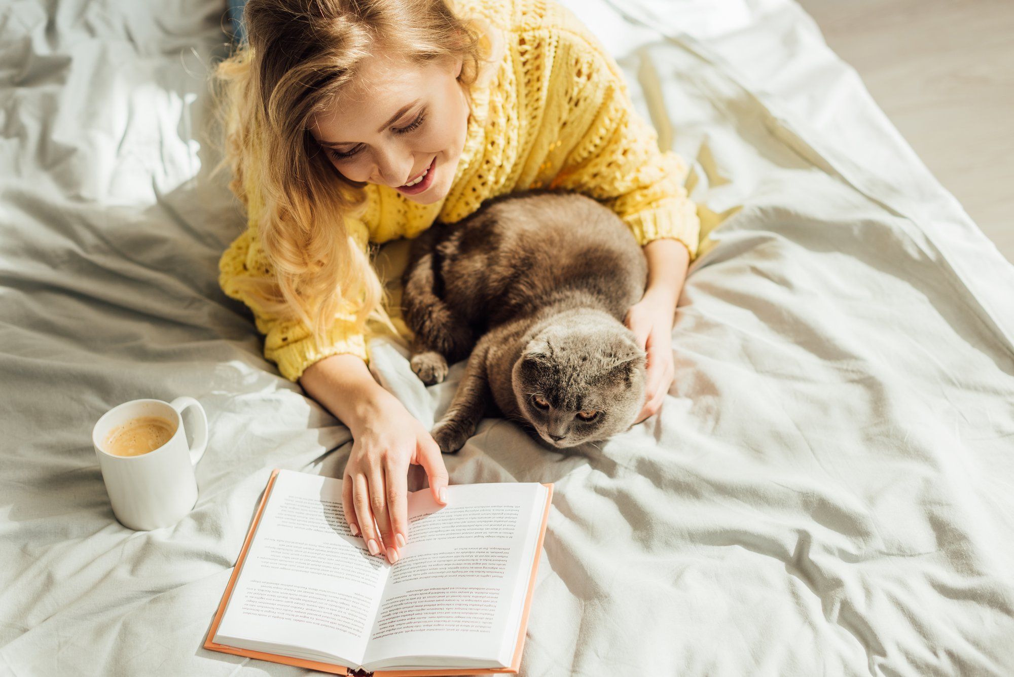 Does My Cat Love Me? Five Ways to Gauge Your Attachment With Your Cat