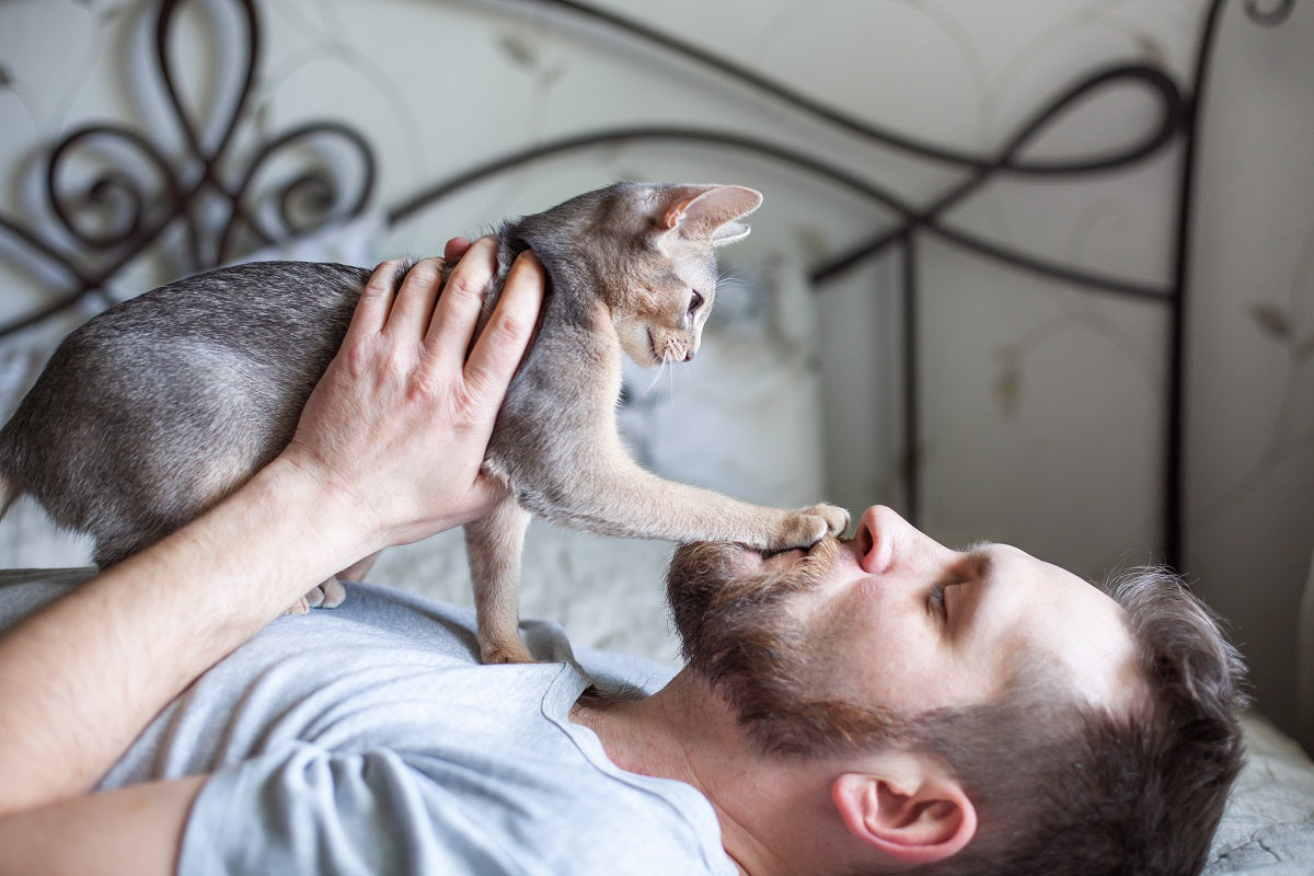 Do Cats Know Their Name
