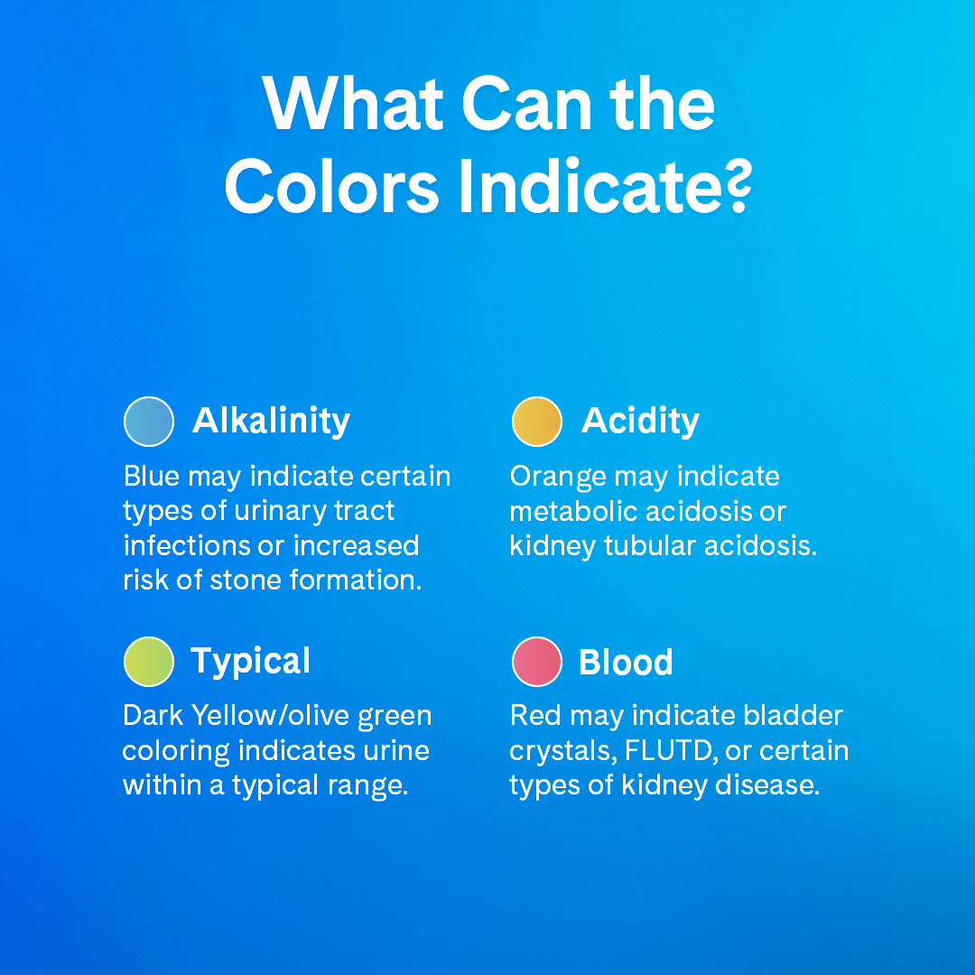 Arena para gatos PrettyLitter