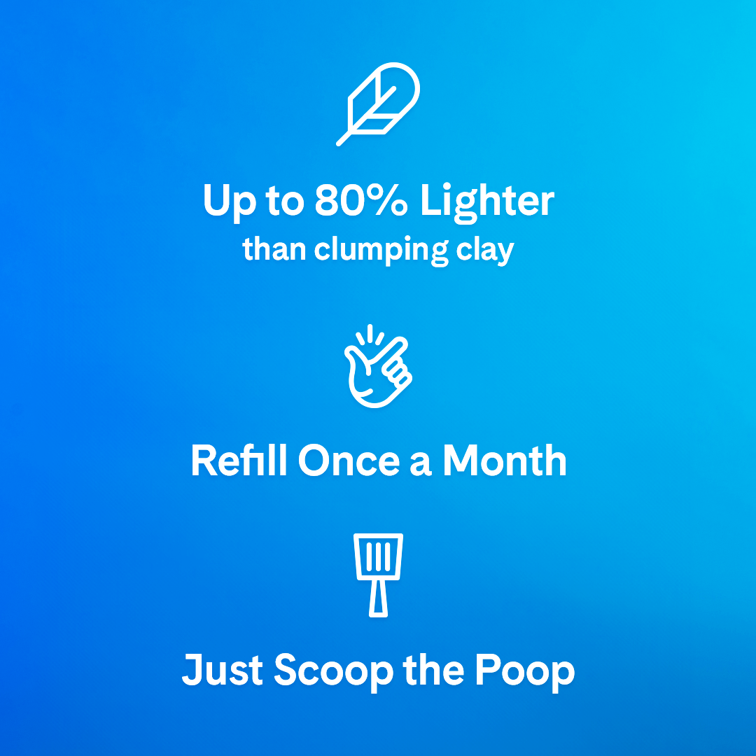 Arena para gatos PrettyLitter