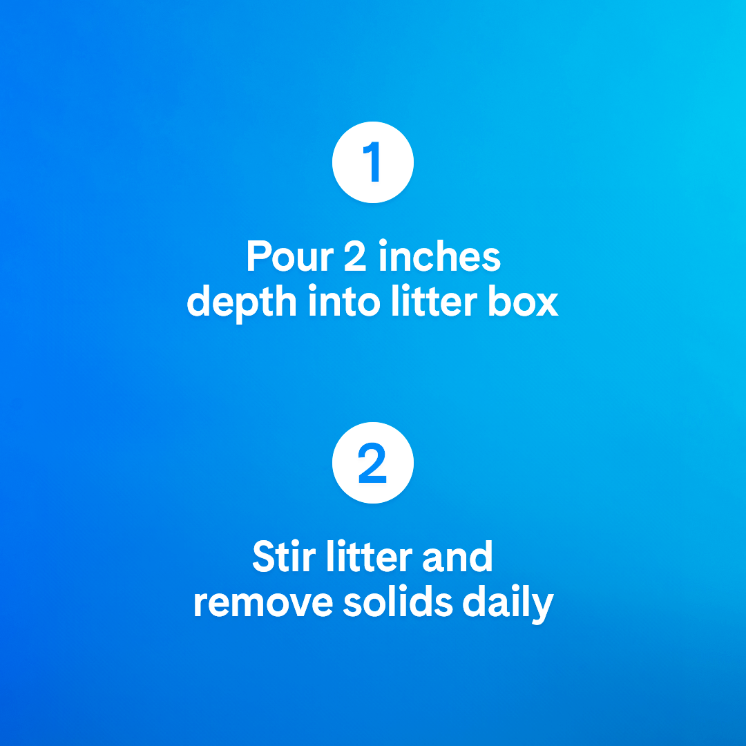 Arena para gatos PrettyLitter