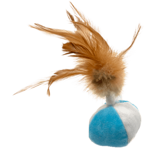 Pelota de fitness de peluche 